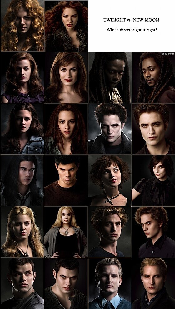 new-moon-vs-twilight-tm new-moon-vs-twilight-tm