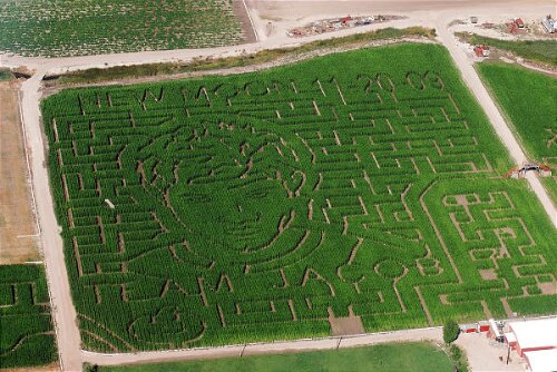 JacobMaze JacobMaze